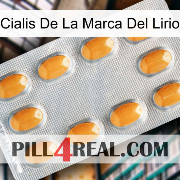 Lily Brand Cialis cialis3.jpg